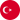 Türkçe
